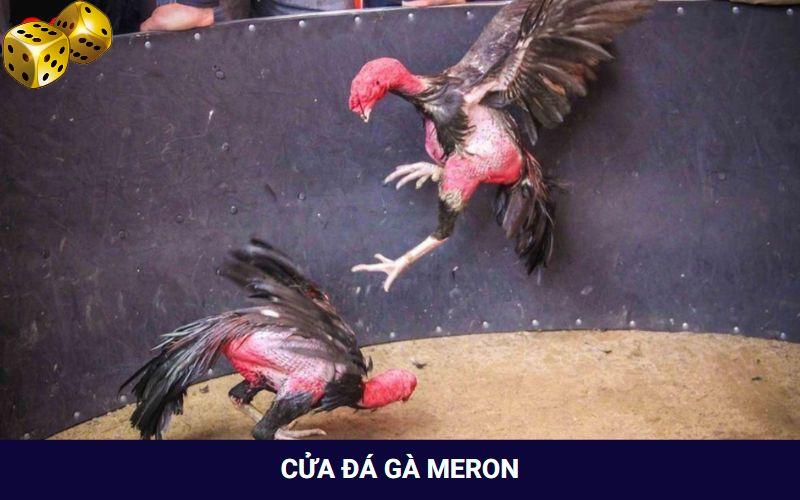 Cửa cược đá gà Meron