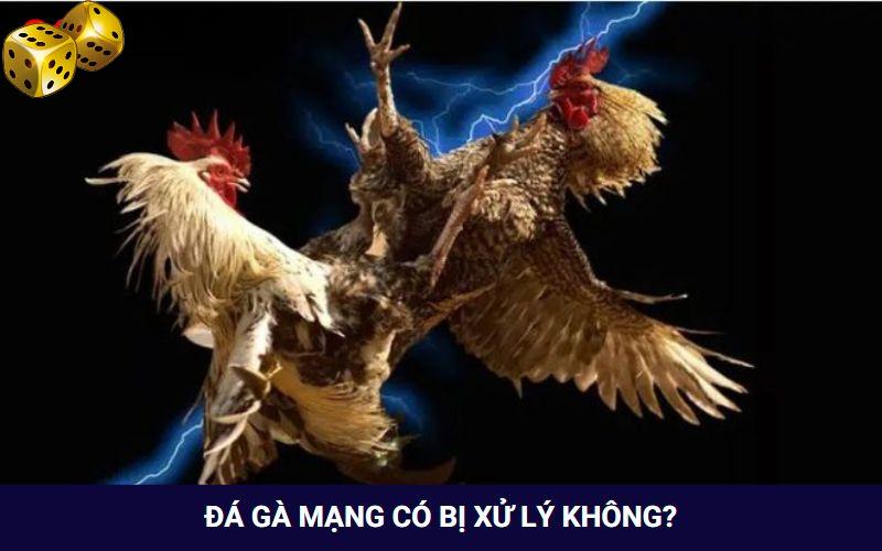 da-ga-mang-thong-tin