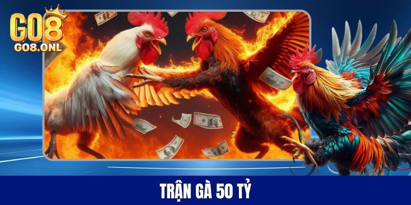 Trận gà 50 tỷ